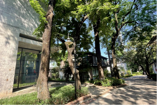 新仕誠公司順應(yīng)綠色發(fā)展潮流，堅定不移推進(jìn)園區(qū)生態(tài)文明建設(shè)